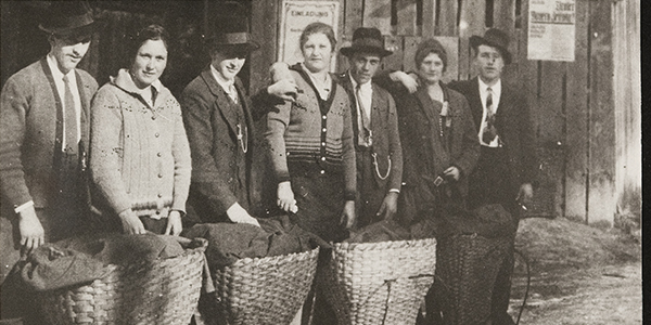 Unsere Sammlung ist online!